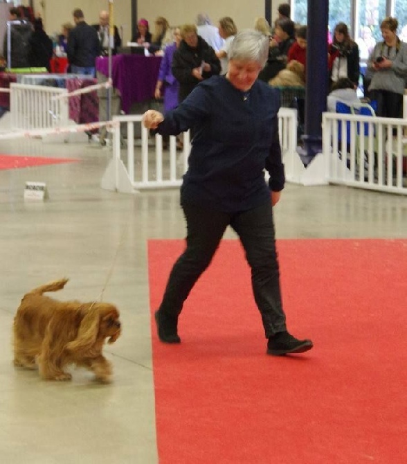 Du mas paskalia - BAHIA PARIS DOG SHOW 2016