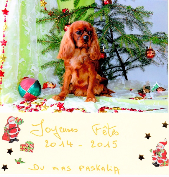 Jolie sybille Du mas paskalia