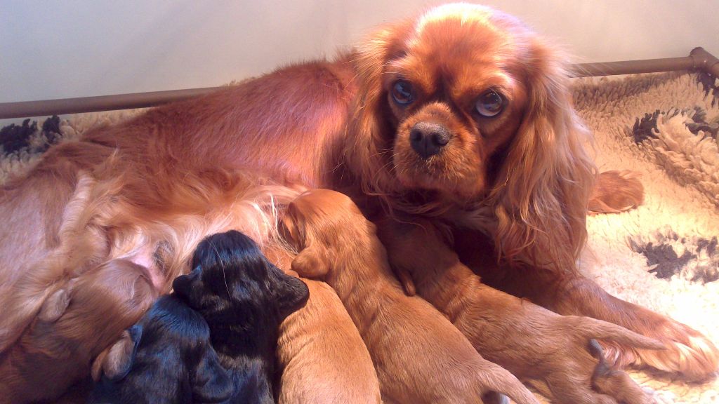 Du mas paskalia - bon anniversaire aux bébés de flora 2ans