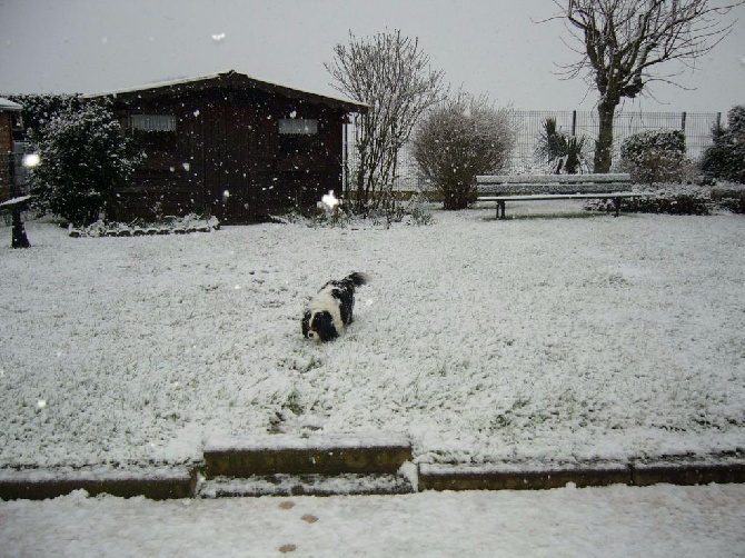 Du mas paskalia - DAISY dans la neige
