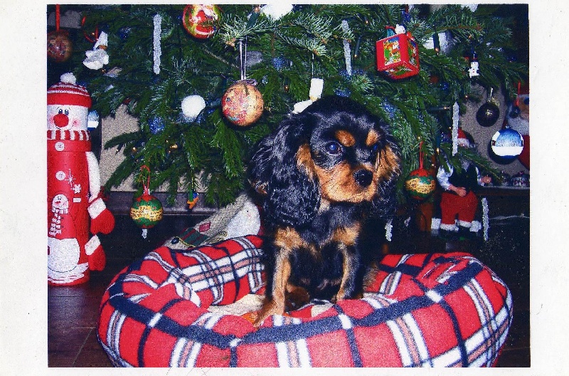 DOOGIE à Mr & Mme MENARD